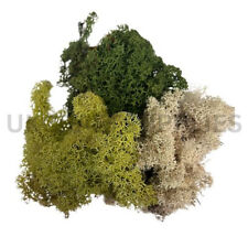 30g - Dried Reindeer Moss / Mixed Greens for air plants  terrariums & Crafts UK