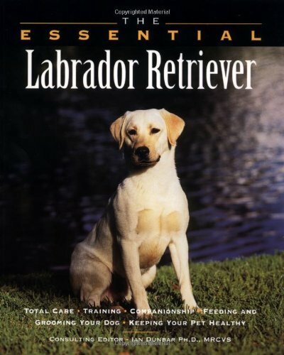 The essential labrador - the,