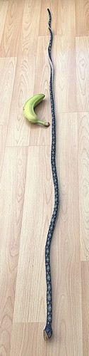 Rare long ww1 - long, turkish