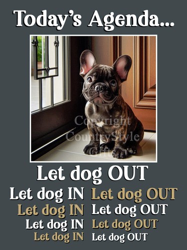 French bulldog fridge magnet - french,