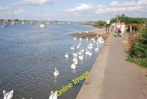 Photo 6x4 swans river - 6x4,