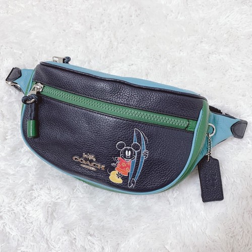 Beautiful item coach body - body, bag