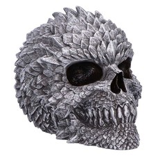 NEW Skull Scaled Remains