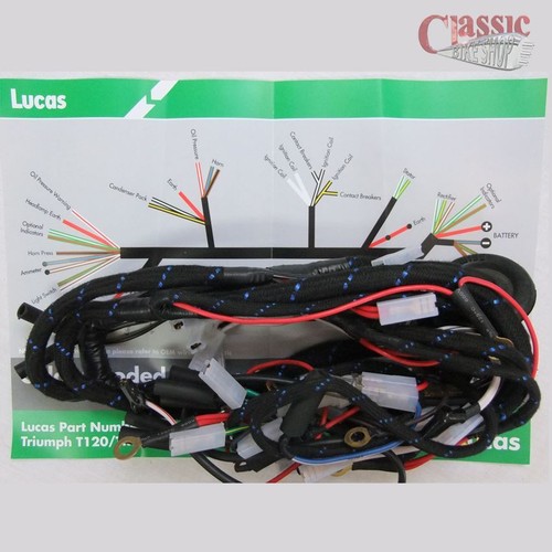 Wiring loom triumph t120 tr6 - triumph,