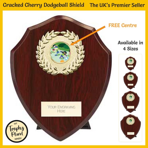 Dodgeball shield trophy - shield,