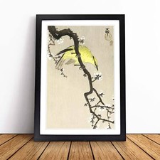 Chinese Oriole Bird on a Plum