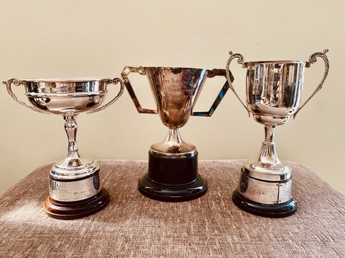 Silver trophy vintage - 3x,