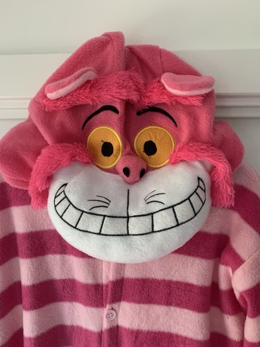 The cheshire cat - cheshire, fancy