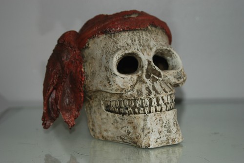 Aquarium detailed large pirate - aquarium,