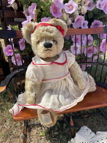 Stunning chad valley teddy - valley,
