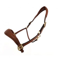 Coco Equestrian Cognac Brown