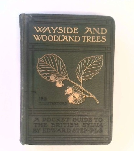 Wayside and woodland trees - wayside,