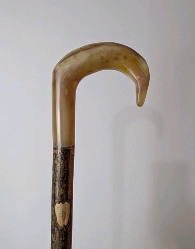 Shepherds crook rams - shepherds, horn
