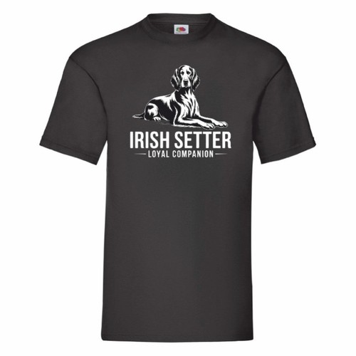 Irish setter loyal - irish,