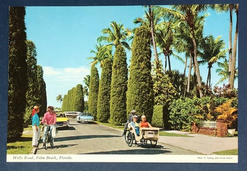Postcard palm beach florida - postcard,