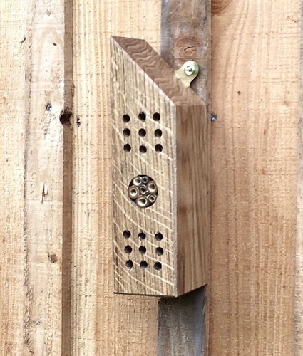 Bee house bug hotel - house,, hotel,