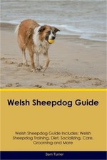 Welsh Sheepdog Guide Welsh