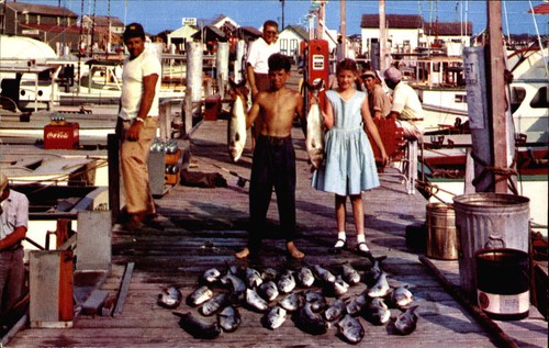 Cape may new jersey - may, ~