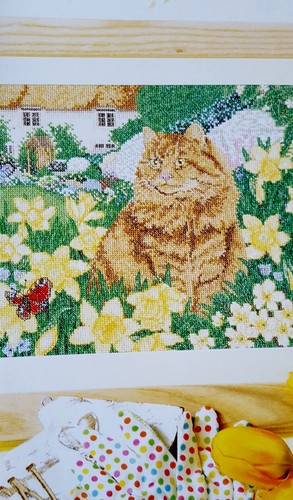 Cat daffodils primrose - cat,