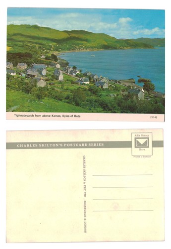 Vintage postcard - postcard,