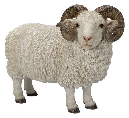 Vivid arts ram sheep with - vivid,