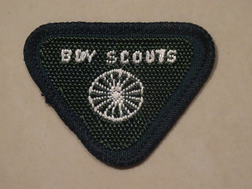 Boy scouts wolf cub - boy,