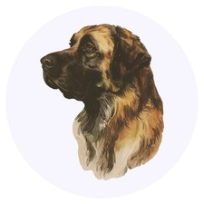 24 x 'Leonberger Dog Portrait'