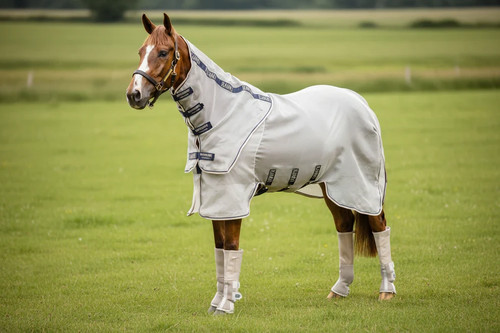 Horseware rambo protector plus - rambo,