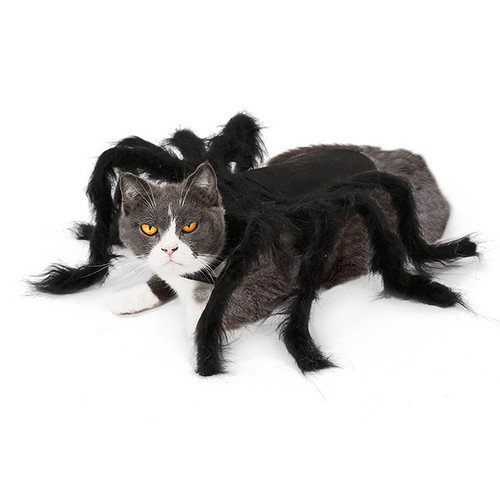 Halloween pet spider - halloween, plush