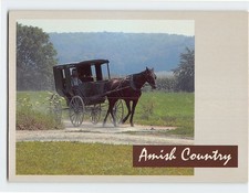 Postcard Horse-Drawn Buggies in Amish Country Pennsylvania USA