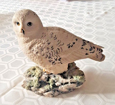 Border Fine Arts Birds