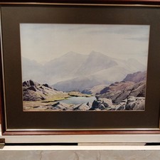 Watercolour Framed Print