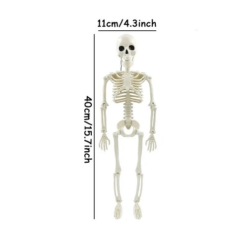 Halloween skeleton decoration - halloween,