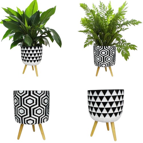 Modern black white - modern,