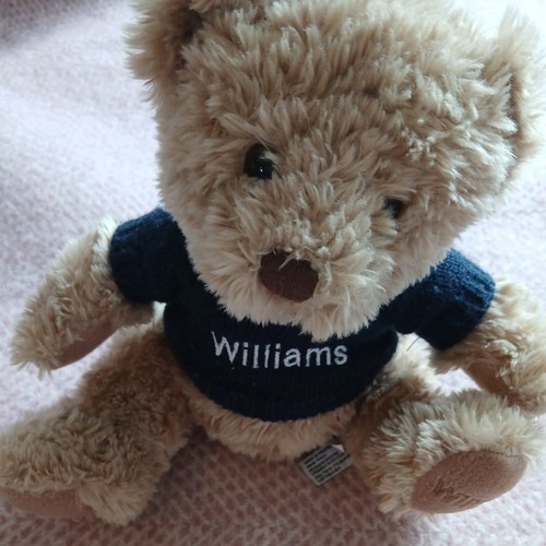 Williams racing teddy bear - williams,