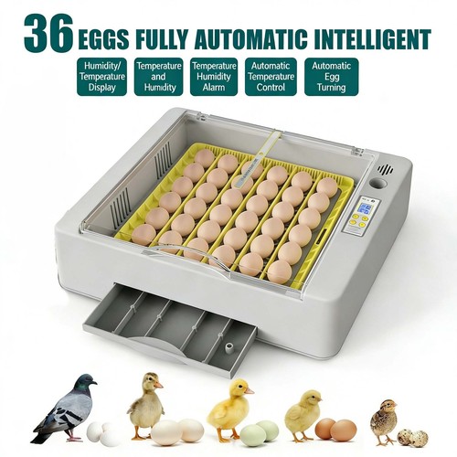 Fully automatic incubator - fully,