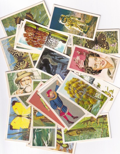 Brooke bond tea - bond, all