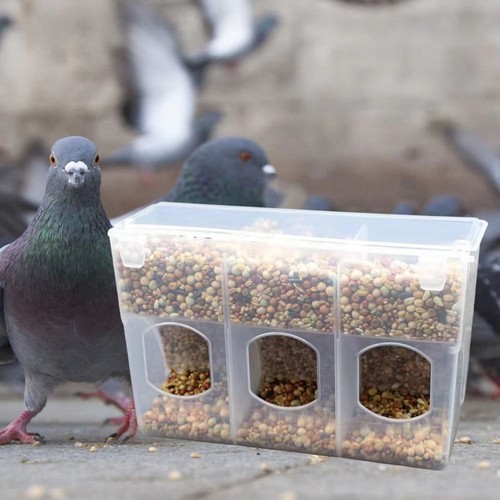 Auto bird automatic - auto, feeder