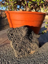 One Large, Black Lava Rock –