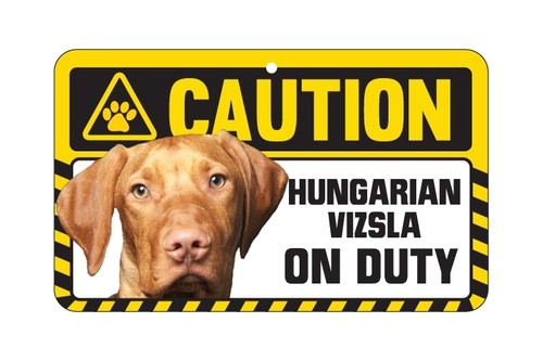 Dog sign caution beware - caution,
