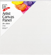 2 Pack  Artist Canvas Panel