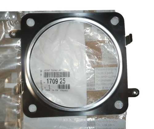 Turbo seal for citroën - for,