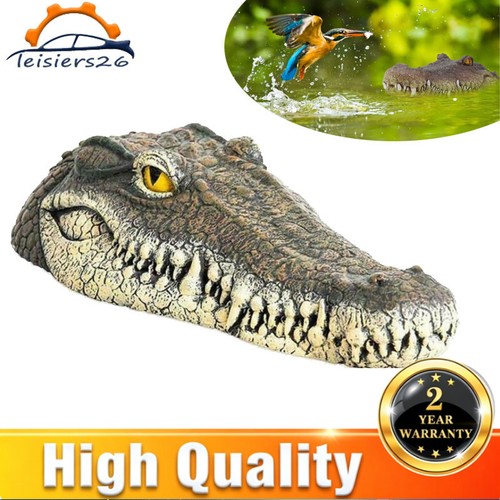 Floating crocodile head with - crocodile,