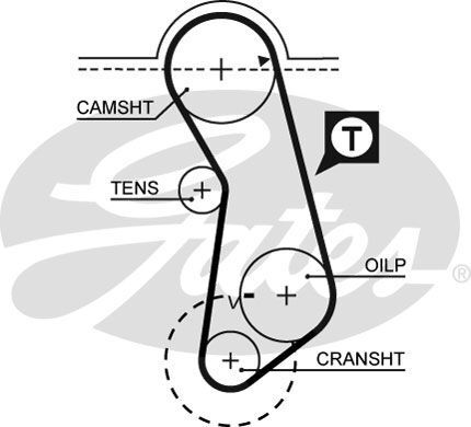 Genuine gates powergrip timing - gates,