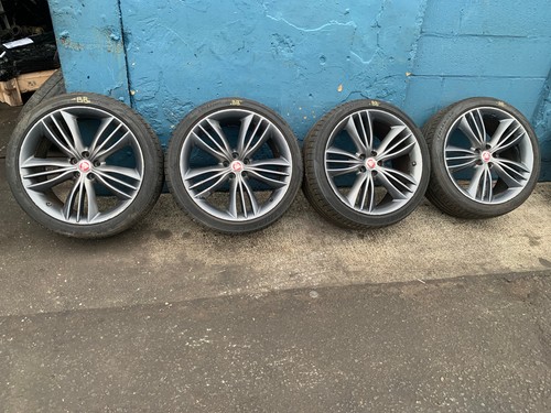 Jaguar matavia staggered - jaguar,