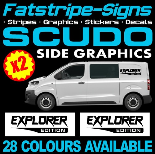 Fits fiat scudo - fiat, graphics