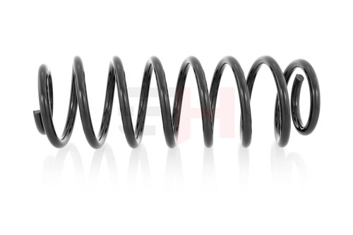Rear suspension spring for - suspension,