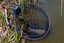 Sonik Sports SKSC Commercial Landing Net 15 inch carp chub perch roach barbel