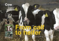 From calf to heifer: a