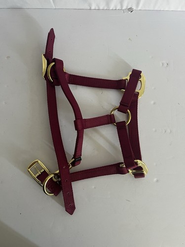 Brand new horse harness never - horse,